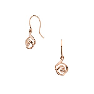 プロフェッショナル 岡崎紗絵「ピアス」